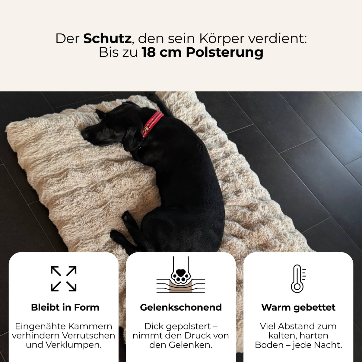 WOLKENPFOTE™ Wohlfühlbett